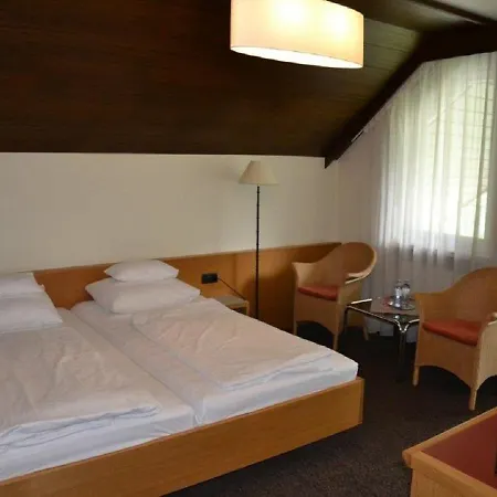 Hotel Schiffle 4*